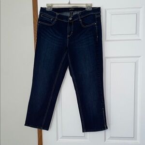 Elegant Navy Women's Ankle Jeans